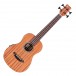 Cordoba Mini-II Bass MH-E