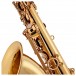 Trevor James 'The Horn' Tenor Saxophone, Gold Lacquer