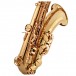 Trevor James 'The Horn' Tenor Saxophone, Gold Lacquer