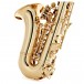 Grassi SSPC800MKII School Series Curved Soprano Saxophone