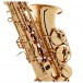 Grassi SAL700 School Series Alto Saxophone, with Accessories, Lacquer