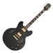 Epiphone Emily Wolfe Sheraton Stealth