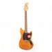 CBY7006 primary