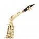 Buffet Prodige Alto Saxophone with Gigbag, Lacquer