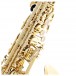 Buffet Prodige Alto Saxophone with Gigbag, Lacquer