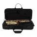 Buffet Prodige Alto Saxophone with Gigbag, Lacquer