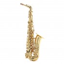 Trevor James Signature Custom Alto Saxophone, Gold Lacquer