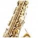 Trevor James Signature Custom Alto Saxophone, Gold Lacquer