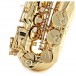 Trevor James Signature Custom Alto Saxophone, Gold Lacquer