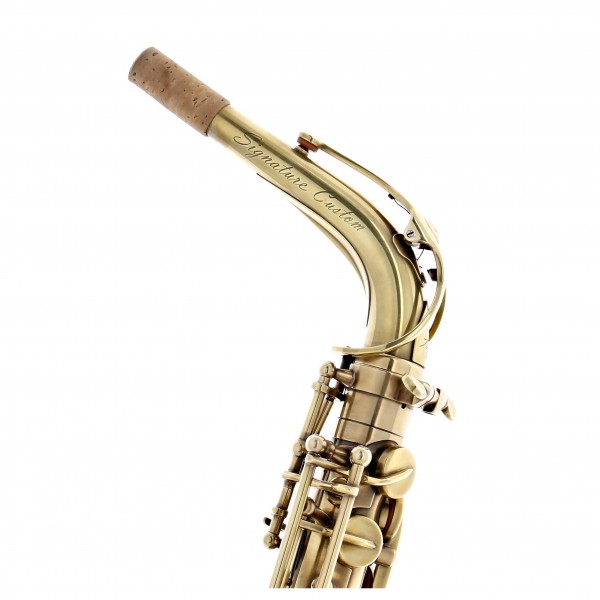 Trevor James Signature Custom Alto Saxophone, RAW XS