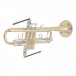 BG Trumpet Combo Pack - Valve casing swab - 2