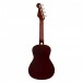 Fender Player Telecaster HH PF, 3C Sb with FREE Fender Ukulele - Ukulele Back