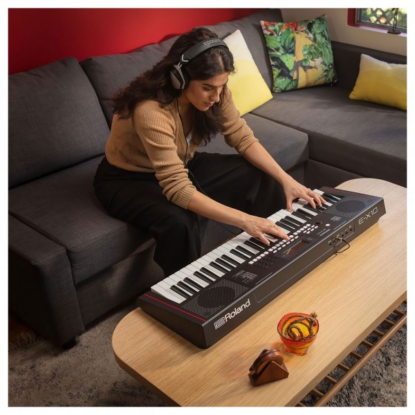 Roland E-X10 Birds eye view