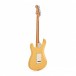 Fender Player Stratocaster HSS MN, Bream with FREE Fender Ukulele - Guitar Back