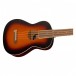Fender Player Stratocaster HSS MN, SF Green with FREE Fender Ukulele - Ukulele Body