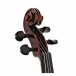 Stagg Violin Outfit, High Grade, Full Size with Deluxe Set Up
