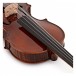 Stagg Violin Outfit, High Grade, Full Size with Deluxe Set Up bridge