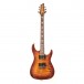 CBY7433 primary