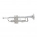Bach Stradivarius 180S43 Trumpet, Silver Straight