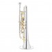 Cornet Silver plated with Gold plated parts by Gear4music