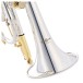 Cornet Silver plated with Gold plated parts by Gear4music