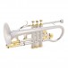 Cornet Silver plated with Gold plated parts by Gear4music