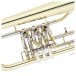 Rotary Valve Bb Student Flugel Horn by Gear4music, Gold