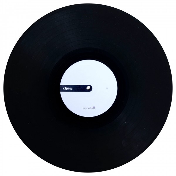 Algoriddim djay Pro AI Control Vinyl 