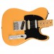Fender Player Plus Nashville Telecaster MN, Butterscotch Blonde - Body View
