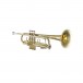 Bach Stradivarius 19072V Trumpet, Lacquer Front