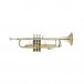 Bach Stradivarius 190M37X Trompete, Lacquer