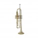 Bach Stradivarius 190M37X Trumpet, Lacquer Side
