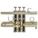 Bach Stradivarius 190M37X Trumpet, Clear Lacquer 6