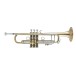 Bach Stradivarius 190L65GV Trumpet, Clear Lacquer 1