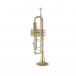 Bach Stradivarius 190L65GV Trumpet, Lacquer Side