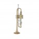 Bach Stradivarius 190L65GV Trumpet, Lacquer Valves
