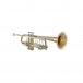 Bach Stradivarius 190L65GV Trumpet, Lacquer Bell