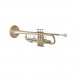 Bach Stradivarius 190L65GV Trumpet, Lacquer Back