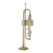 Bach Stradivarius 190L65GV Trumpet, Clear Lacquer 5