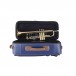 Bach Stradivarius 190L65GV Trumpet, Lacquer On Case