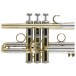 Bach Stradivarius 190L65GV Trumpet, Clear Lacquer 6