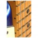 Frets