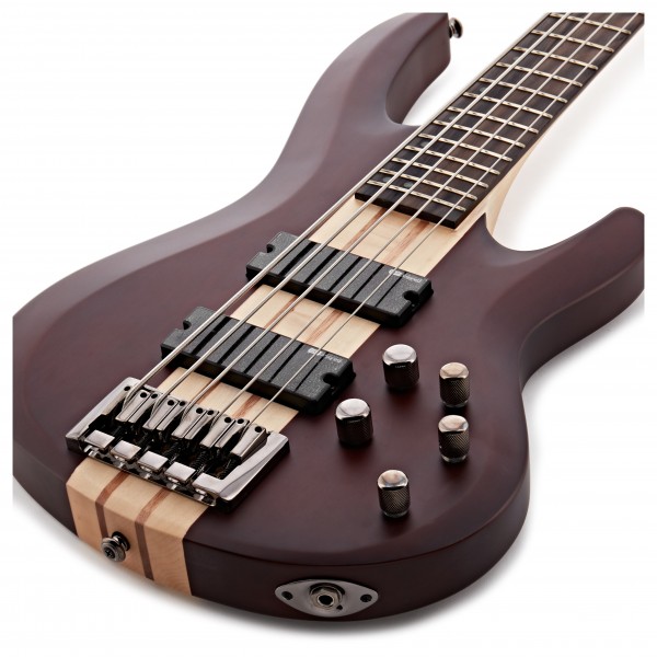 ESP LTD B-5E 5-String Bass, Natural Satin