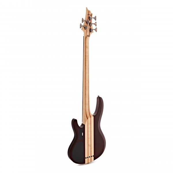 ESP LTD B-5E 5-String Bass, Natural Satin