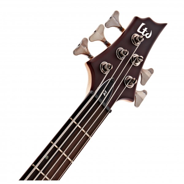 ESP LTD B-5E 5-String Bass, Natural Satin