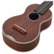 Martin Centennial Ukulele