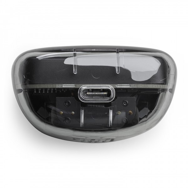JBL Tune Flex Ghost Edition Noise Cancelling Earbuds, Black Gloss Case Input View