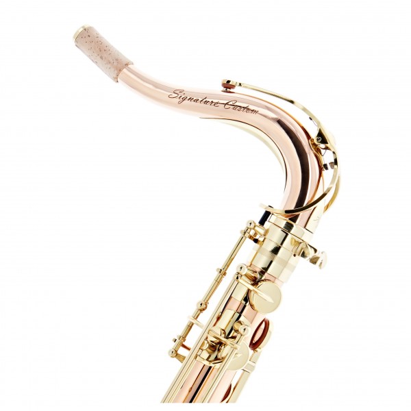 Trevor James Signature Custom Tenor Saxophone, Phosphor Bronze
