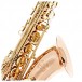 Trevor James Signature Custom Tenor Saxophone, Phosphor Bronze