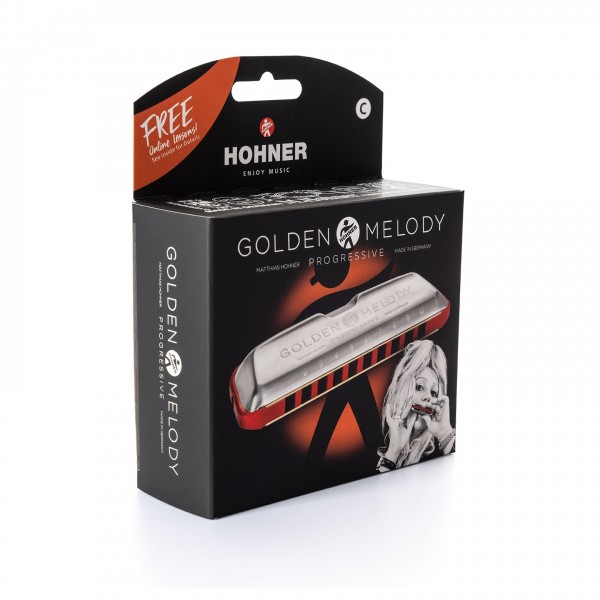 Hohner Golden Melody Harmonica - 6